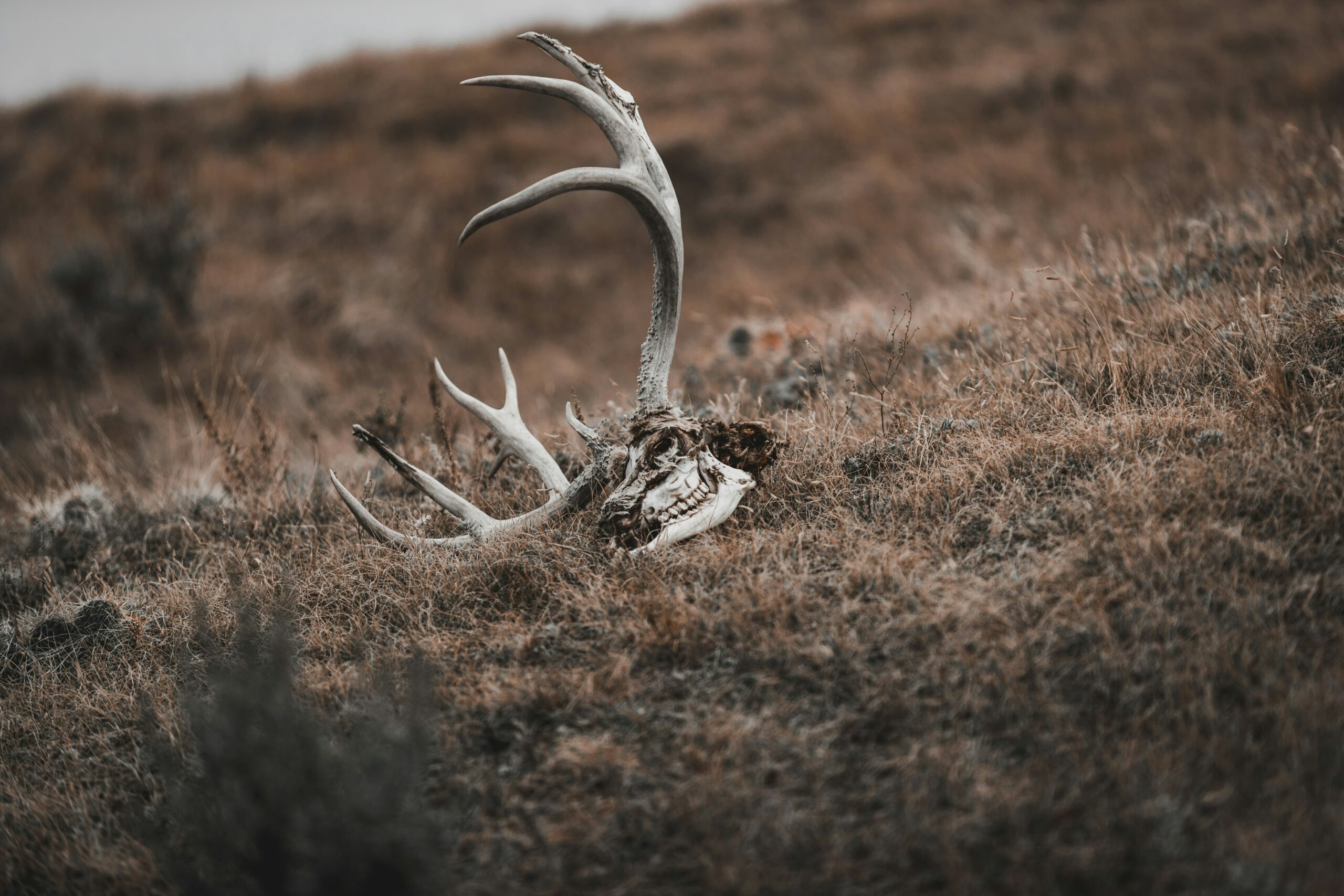 tandem-x-visuals-B9uvQJgPeVI-unsplash